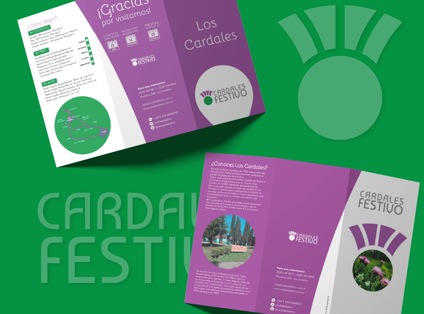 Proyecto CARDALES FESTIVO vista 8